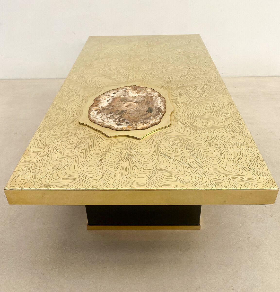 Mid Century Modern "Fossil Wood" Coffee Table In The Style Of Dario photo for sale