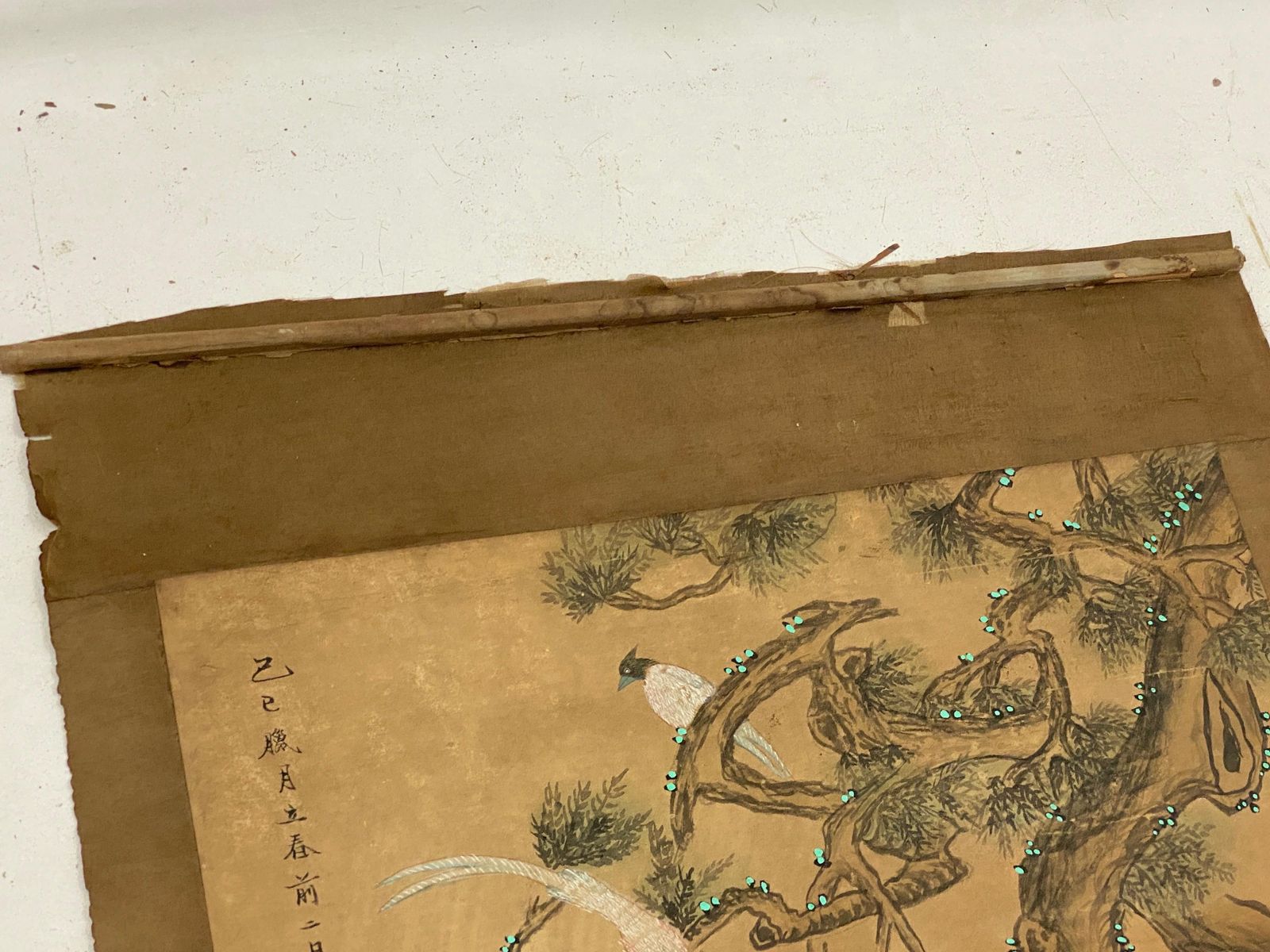 Chinese Painting On Scroll Paper  China 19th Century  Birds And Nature Decor photo for sale