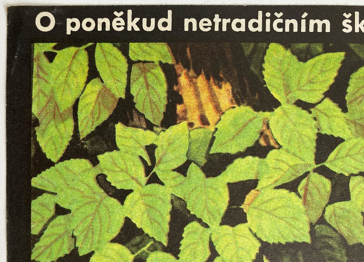 Movie Poster, Please Sir!, Miroslav Hlaváček, 1975 photo furniture