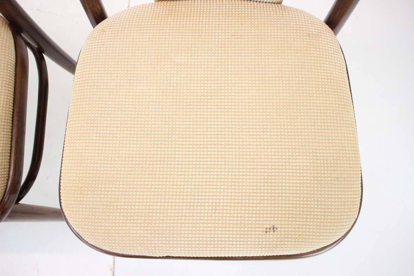 Set Of Two Bentwood Chairs, Ton 1980s photo 432.0