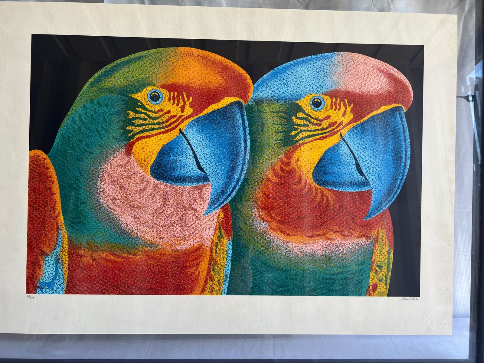 Claudio Tozzi (Brazilian B.1944) A Pencil Signed Limited Edition 26/100 Lithograph From The Papagalia Series, Brazilian Parrots photo furniture
