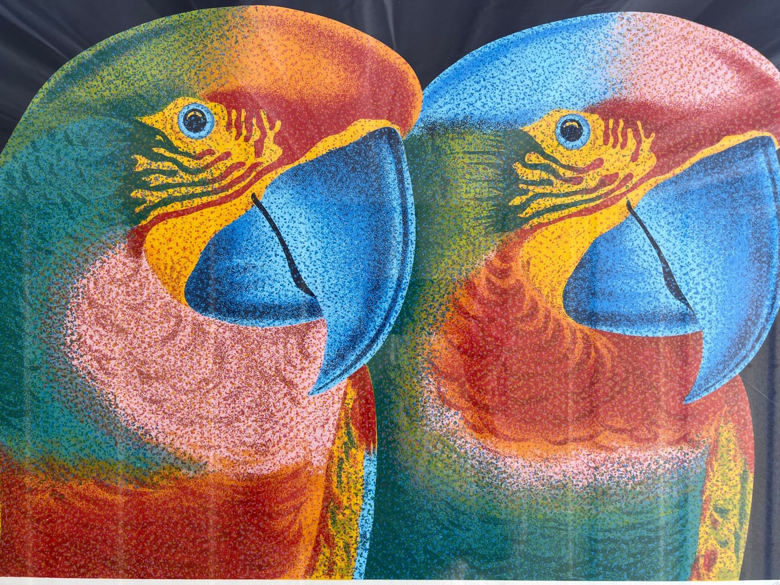 Claudio Tozzi (Brazilian B.1944) A Pencil Signed Limited Edition 26/100 Lithograph From The Papagalia Series, Brazilian Parrots photo buy