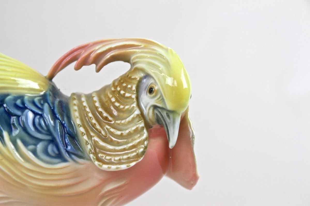 439.0 Porcelain Figurine "Golden Pheasant" By F. Karl Ens, Germany Circa 1920 photo