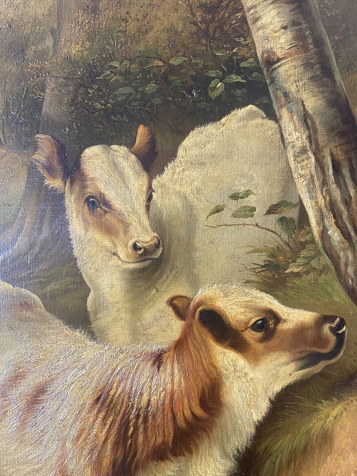 Fine Quality A H Milton Drinkwater Calves In Landscape Oil Painting Dated 1901 photo vinterior