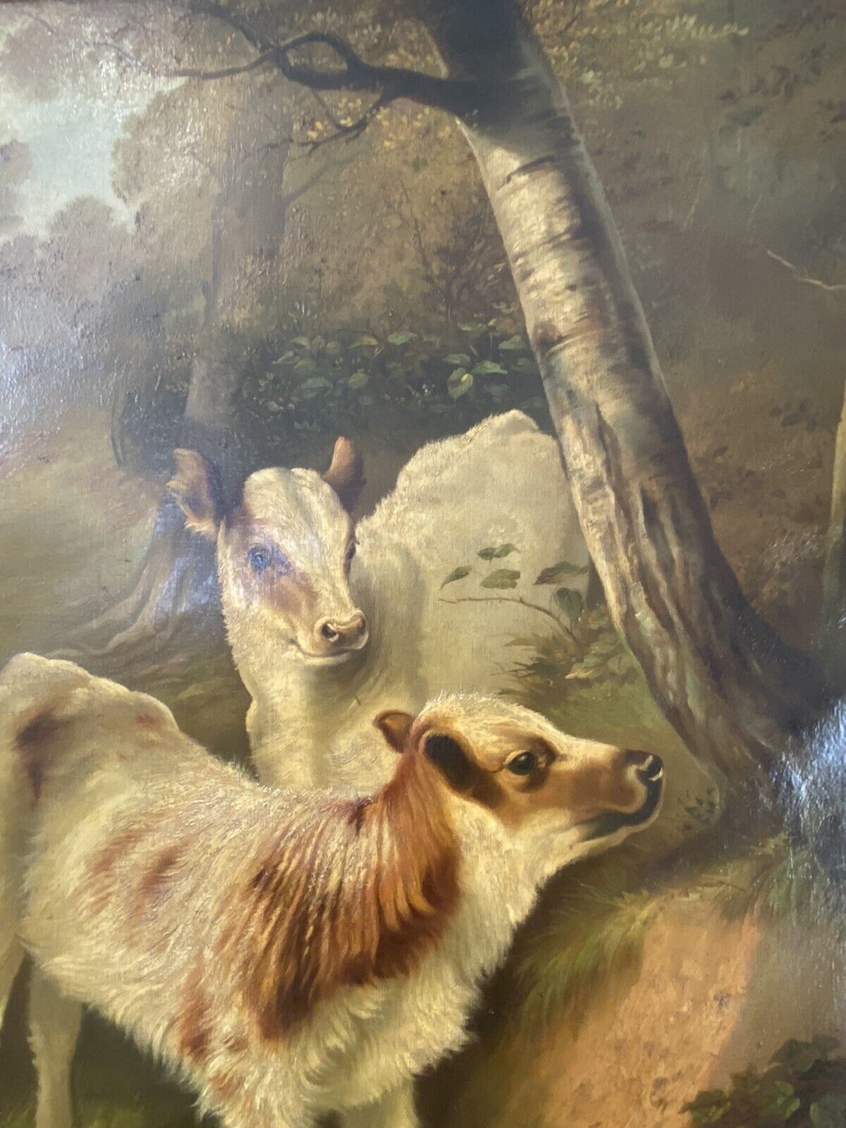 Fine Quality A H Milton Drinkwater Calves In Landscape Oil Painting Dated 1901 photo buy