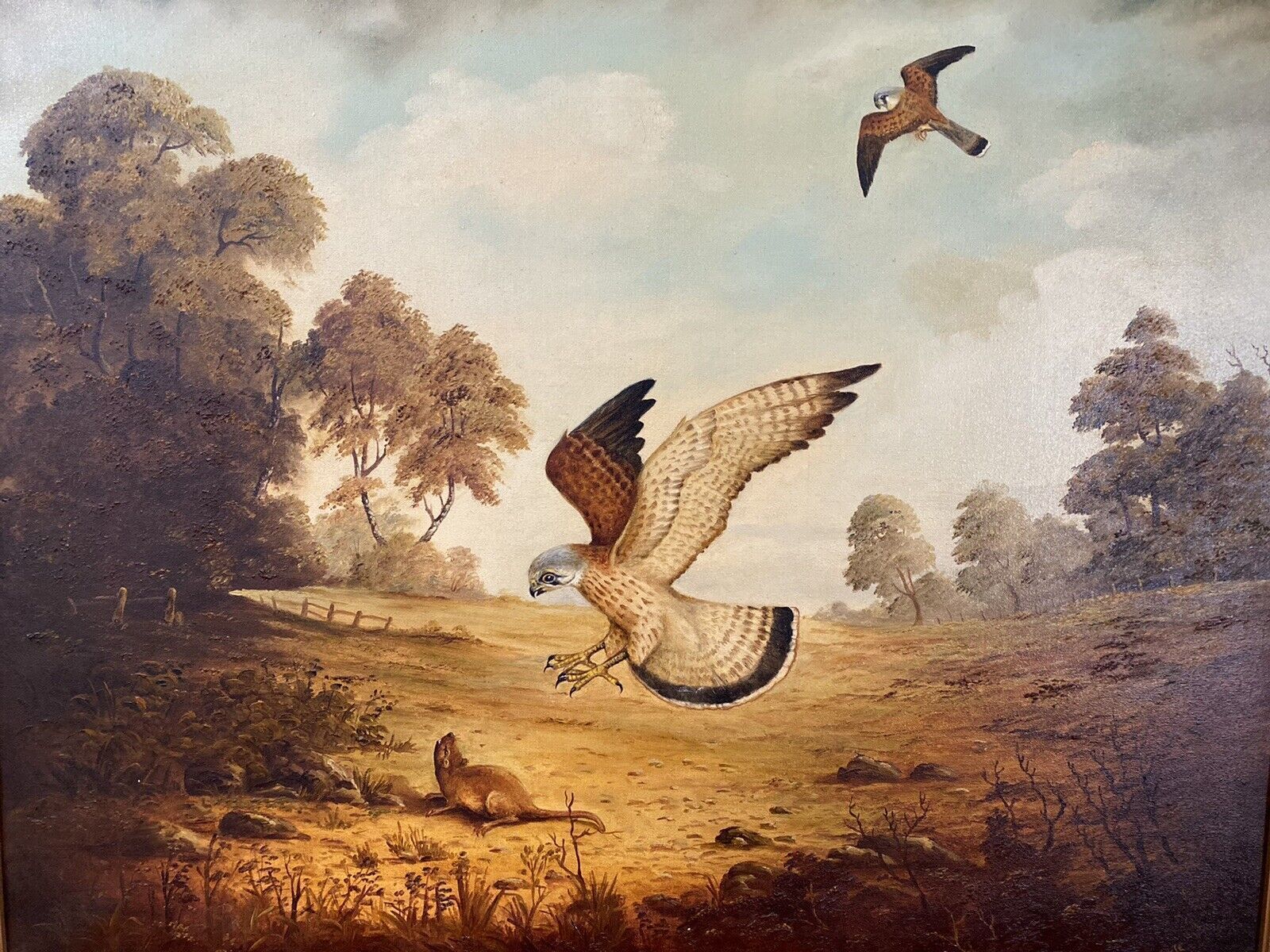 Original Oil Painting Of Hunting Birds Of Prey Signed By Artist G Millhouse photo Art