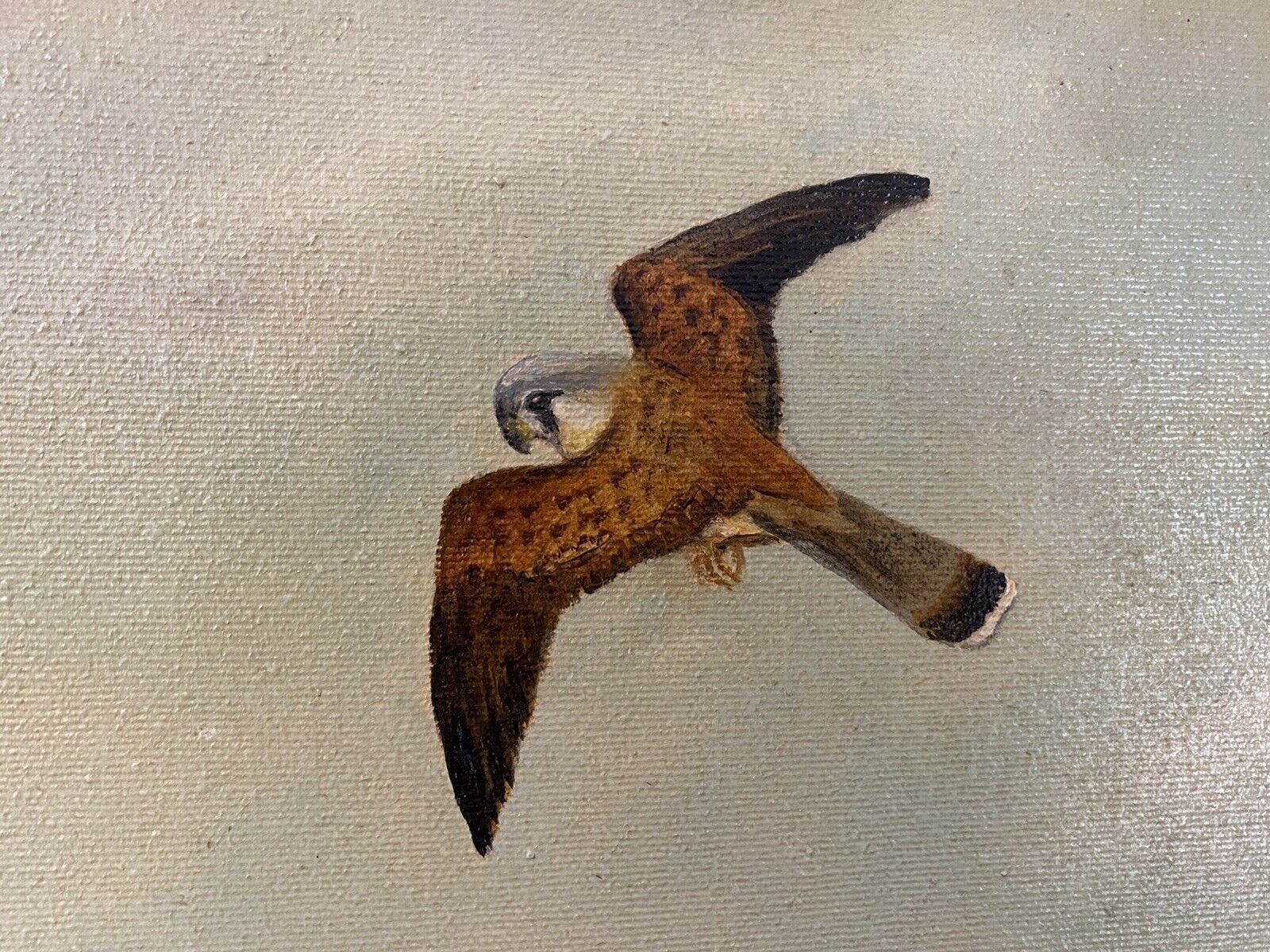 Original Oil Painting Of Hunting Birds Of Prey Signed By Artist G Millhouse photo vintage