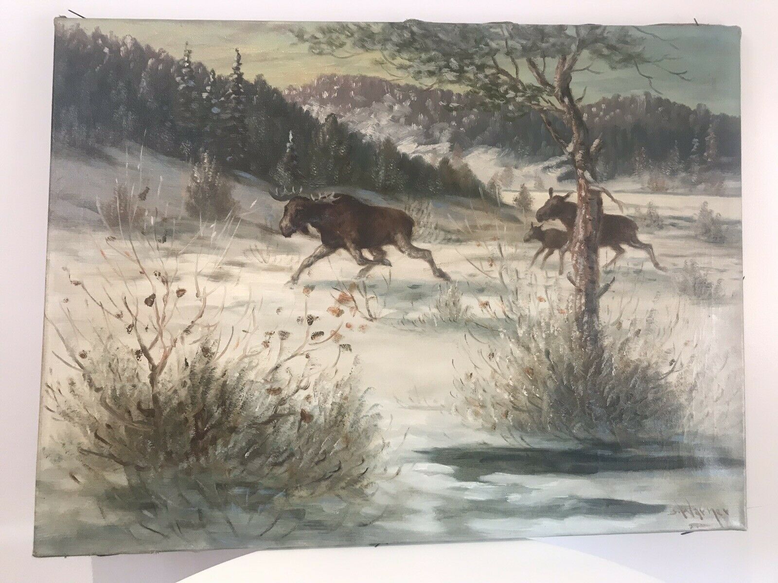 Stags In Snow Scene Original Oil Painting Signed By Artist S Warner photo Art