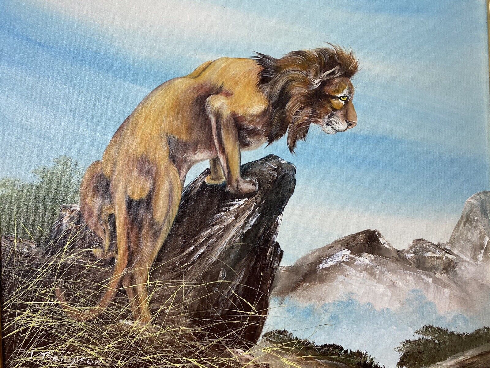20th Century Lion Oil Artwork 'Leader Of The Pride' Signed J Thompson photo vinterior