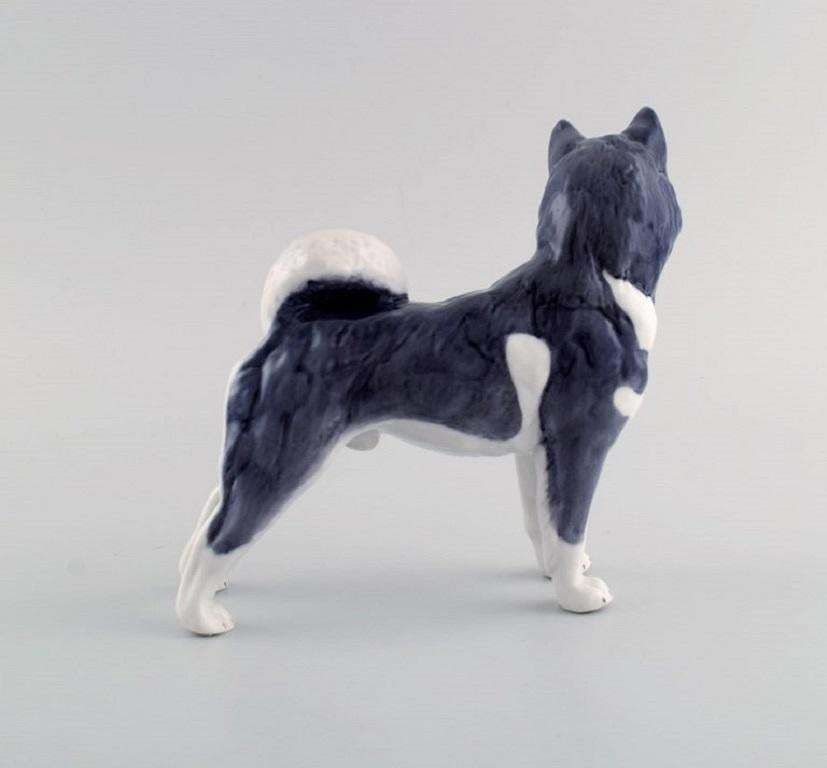 Royal Copenhagen Porcelain Figurine Siberian Husky Model Number 038 photo for sale