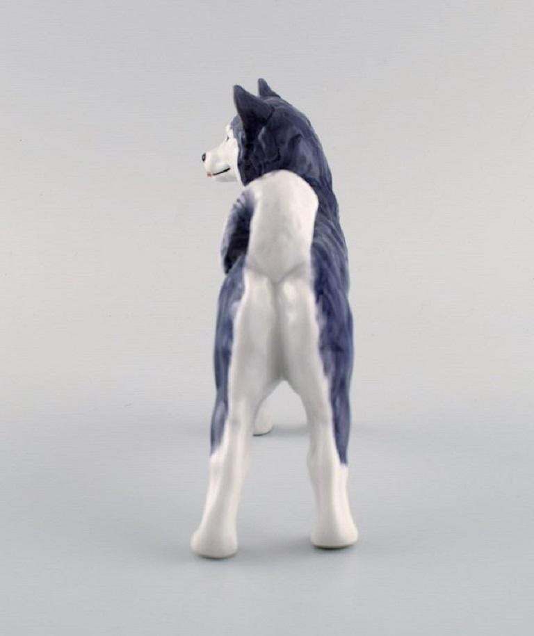 Royal Copenhagen Porcelain Figurine Siberian Husky Model Number 038 photo vinterior