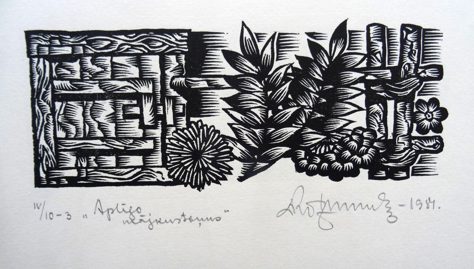 Dainis Rozkalns Midsummer Ferns. 1984. Paper, Linocut