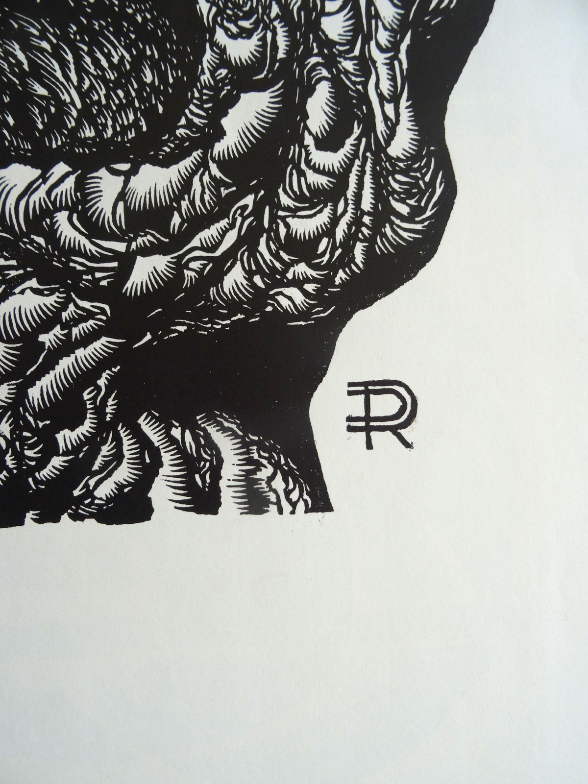Dainis Rozkalns Grandfather Tree. 1982, Paper, Linocut. photo for sale
