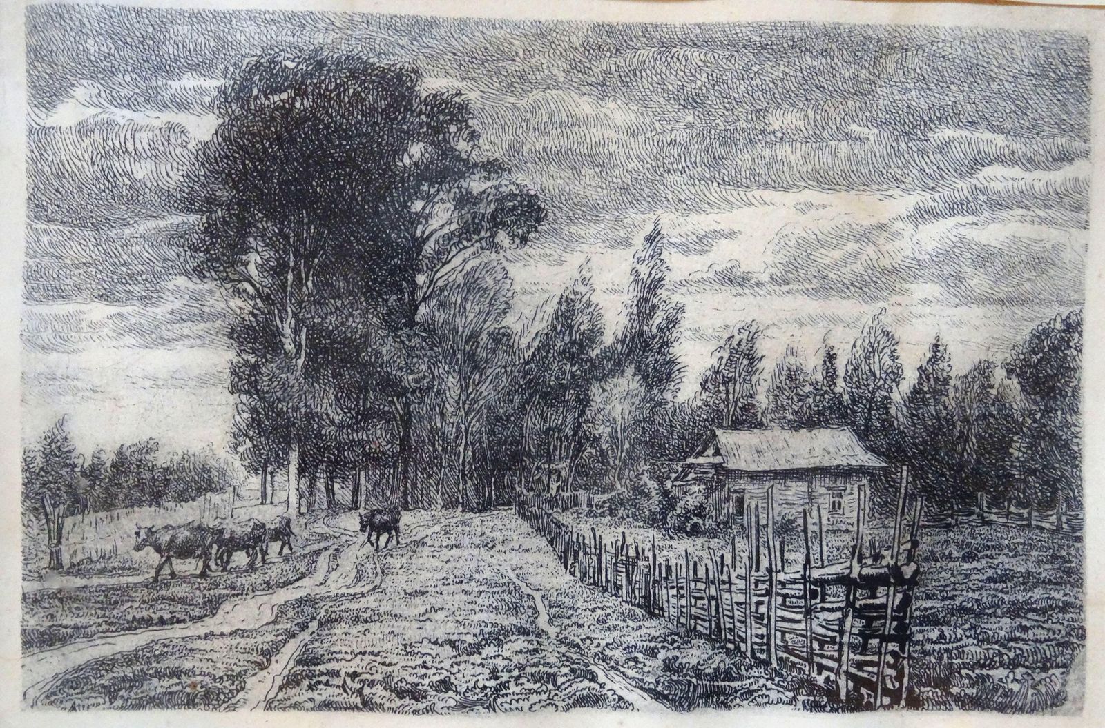 Piotr Petrovich Belousov From The Pasture Paper, Etching