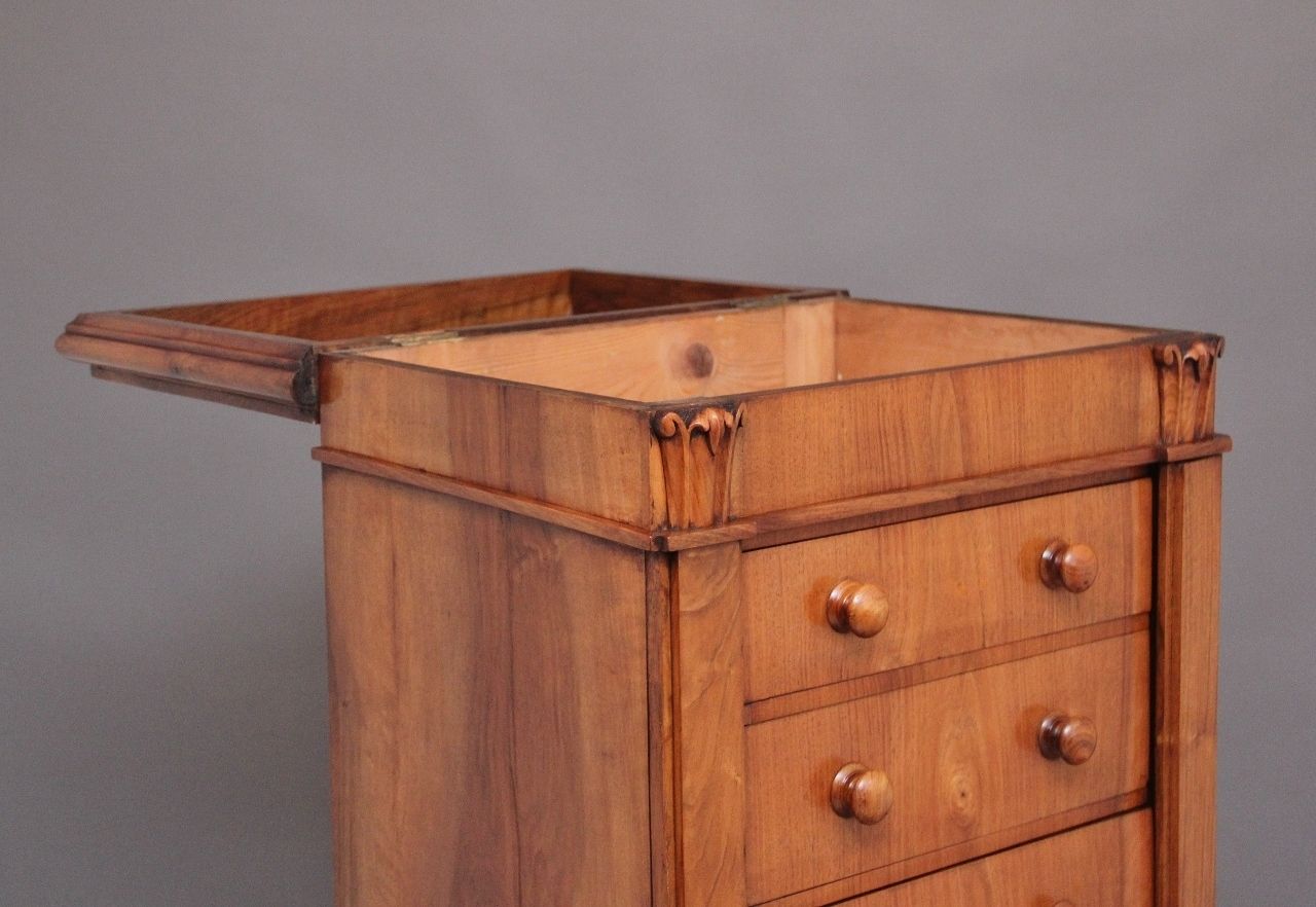 photo furniture Early 19th Century Antique Regency Walnut Wellington Chest