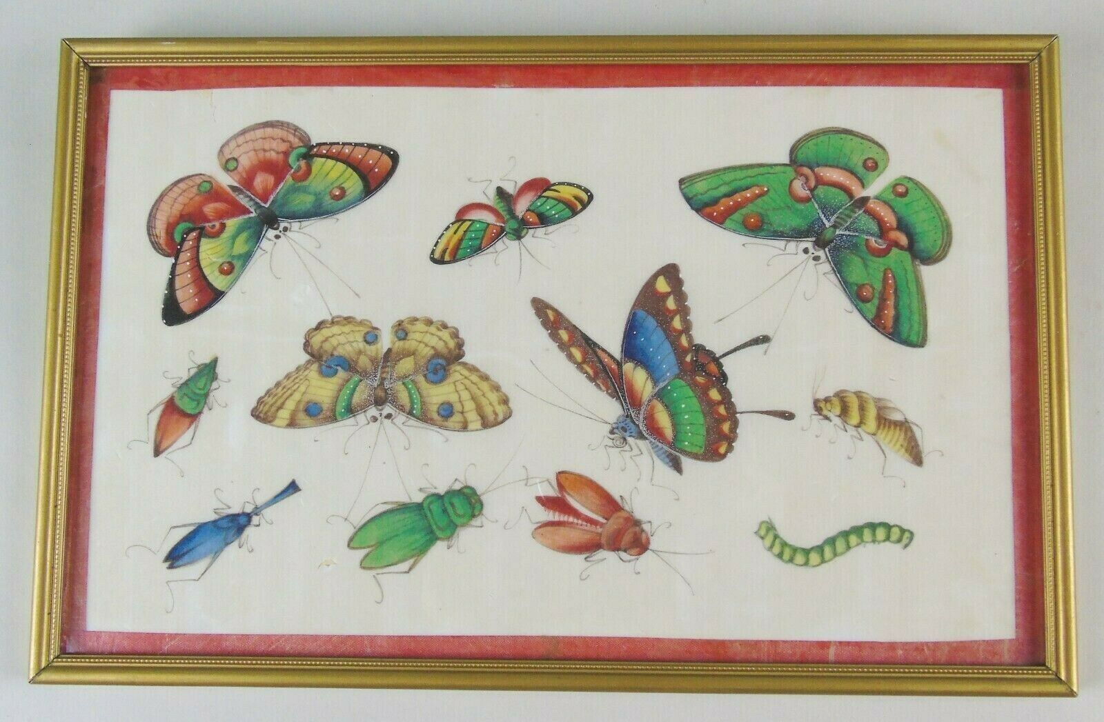 Good 19th Century Chinese Pith Painting Butterflies & Insects photo 385.0