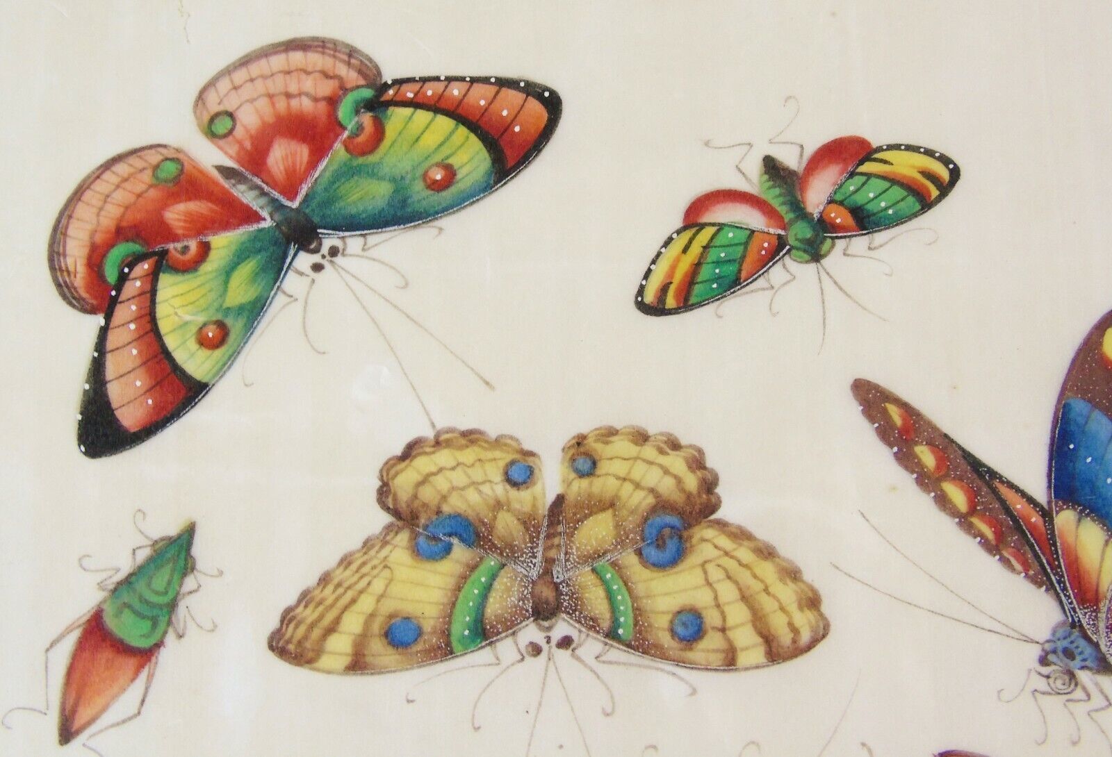 photo furniture Good 19th Century Chinese Pith Painting Butterflies & Insects