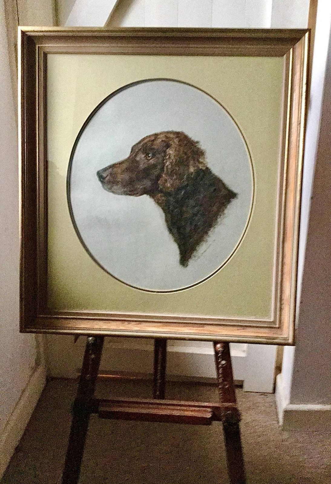 Portrait Of A Dog  Retriever Or Spaniel In Pastels In Original Frame 1970s photo for sale