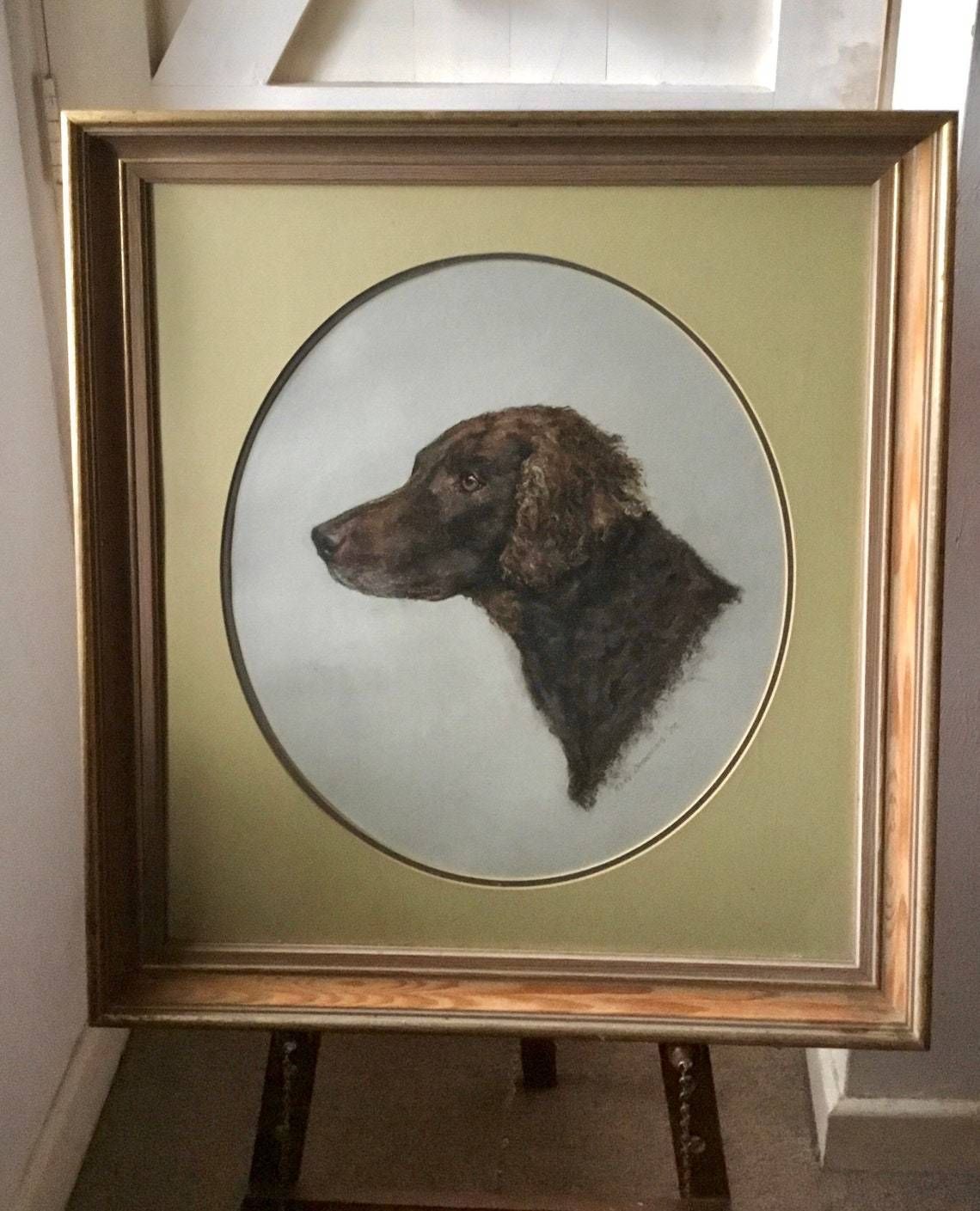 Portrait Of A Dog  Retriever Or Spaniel In Pastels In Original Frame 1970s photo 145.0