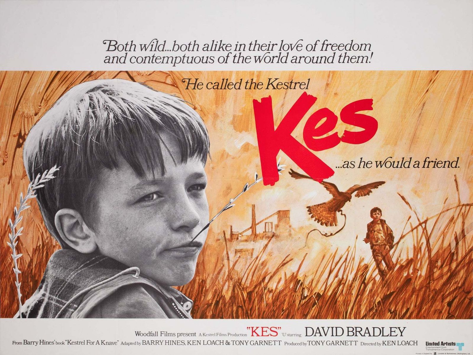 Kes 1969 Uk Quad Film Poster, 1960s