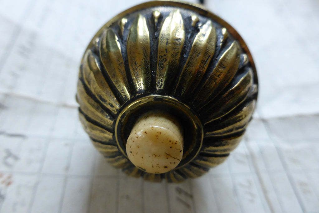 Ornate Antique Brass & Bone Electric Butler Bell Box Push   Light Pull photo furniture