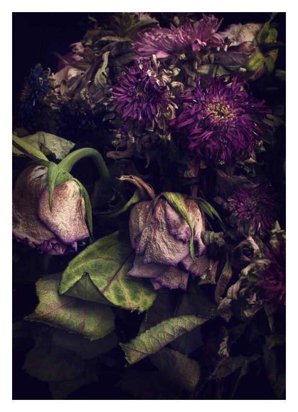 Decaying Still Life 10x12" Archival Pigment Print
