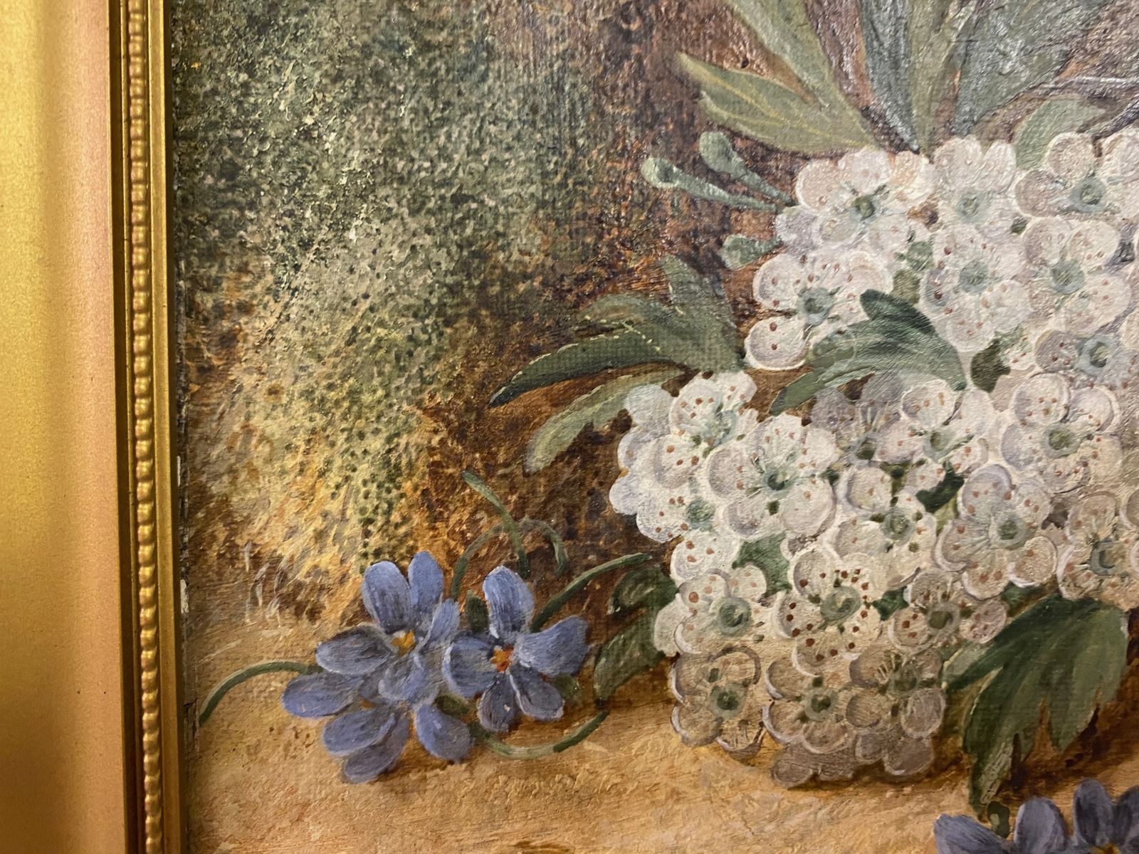 Botanical Still Life Oil On Canvas By Vincent Clare photo 575.0
