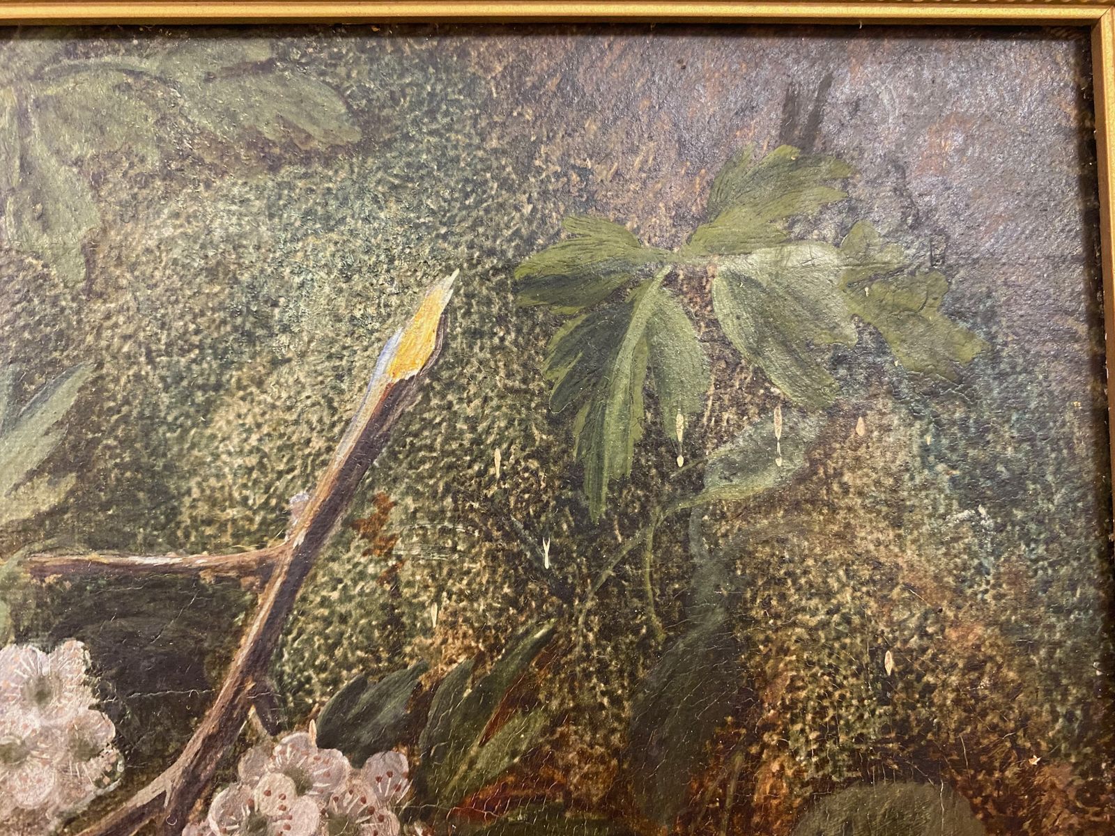 photo furniture Botanical Still Life Oil On Canvas By Vincent Clare