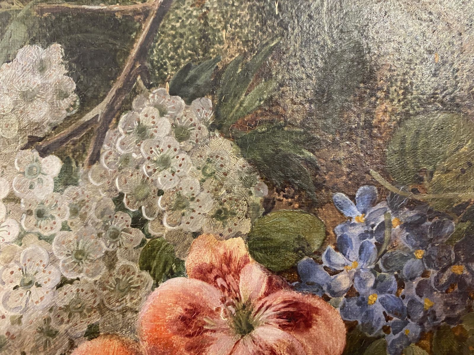 photo for sale Botanical Still Life Oil On Canvas By Vincent Clare