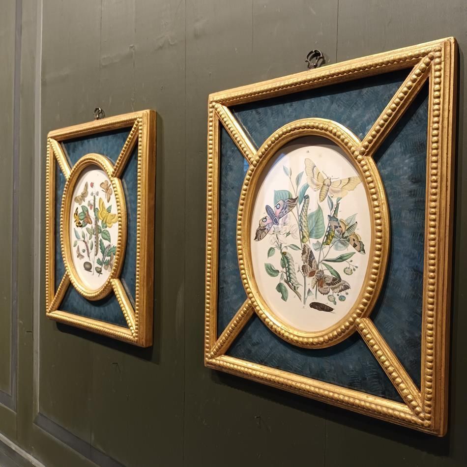 A Pair Of Framed 19th Century Butterfly Prints photo 1375.0
