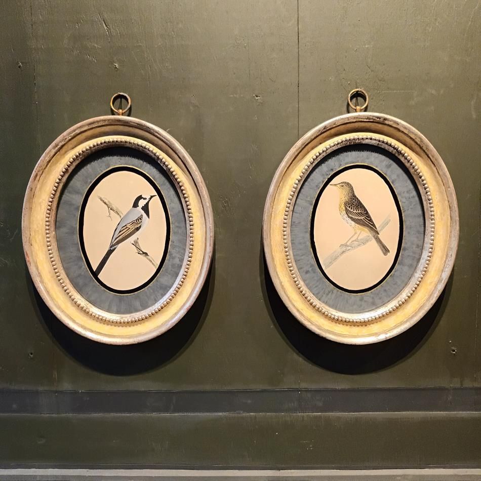 A Pair Of 19th Century Framed Bird Prints