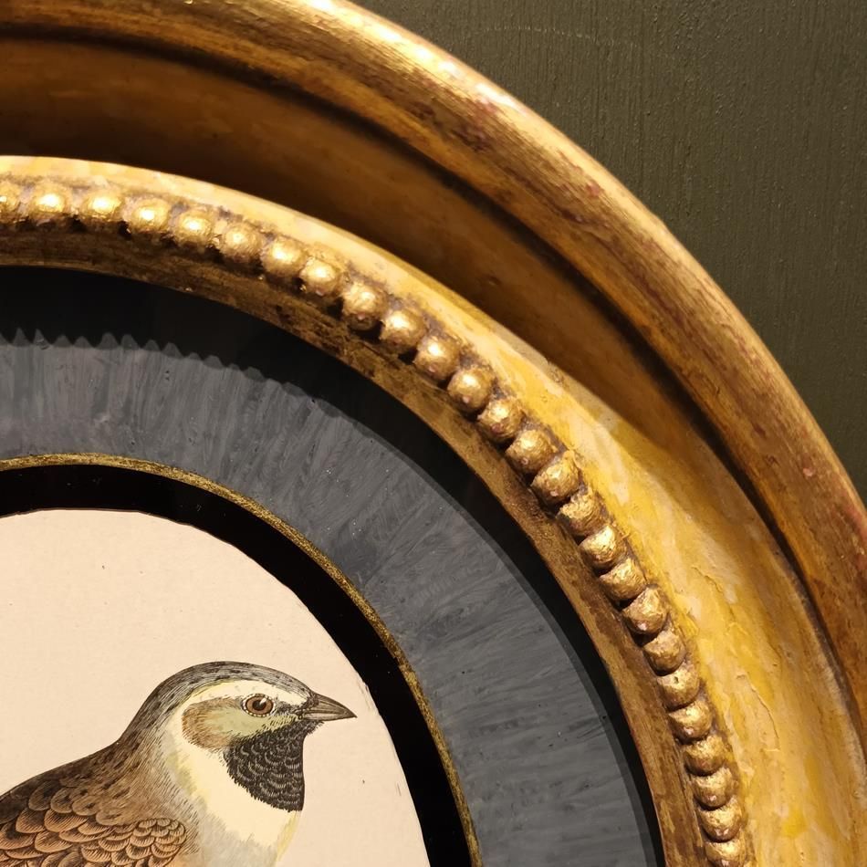 photo for sale A Pair Of 19th Century Framed Bird Prints