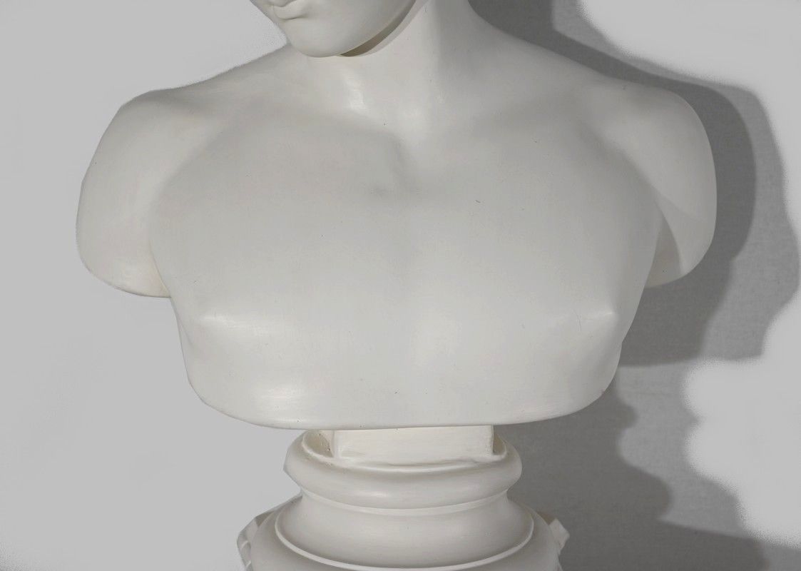 photo for sale Bust Of Antinoüs On Column Set   Late 19th Century