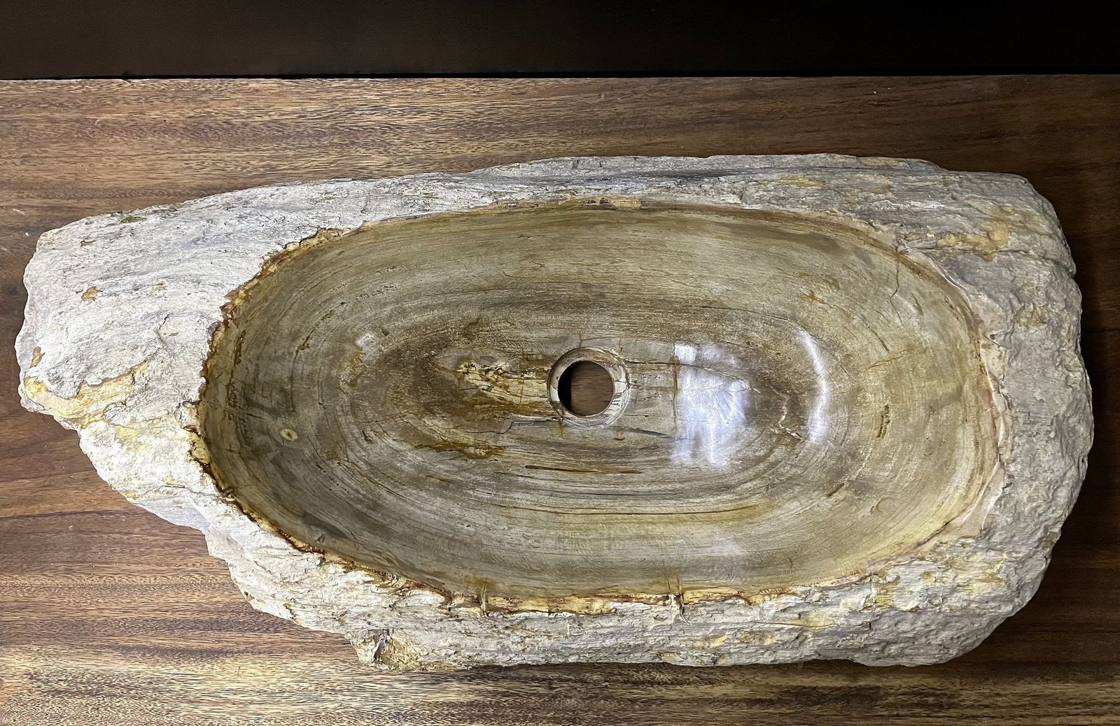 photo furniture Petrified Wood Sink Organic Modern In Grey/ Beige/ Brown Tones, Top Quality