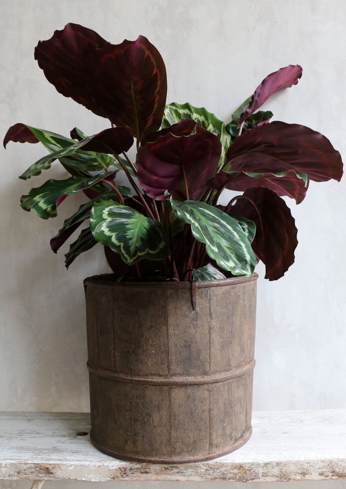 Vintage Wooden Plant Pot