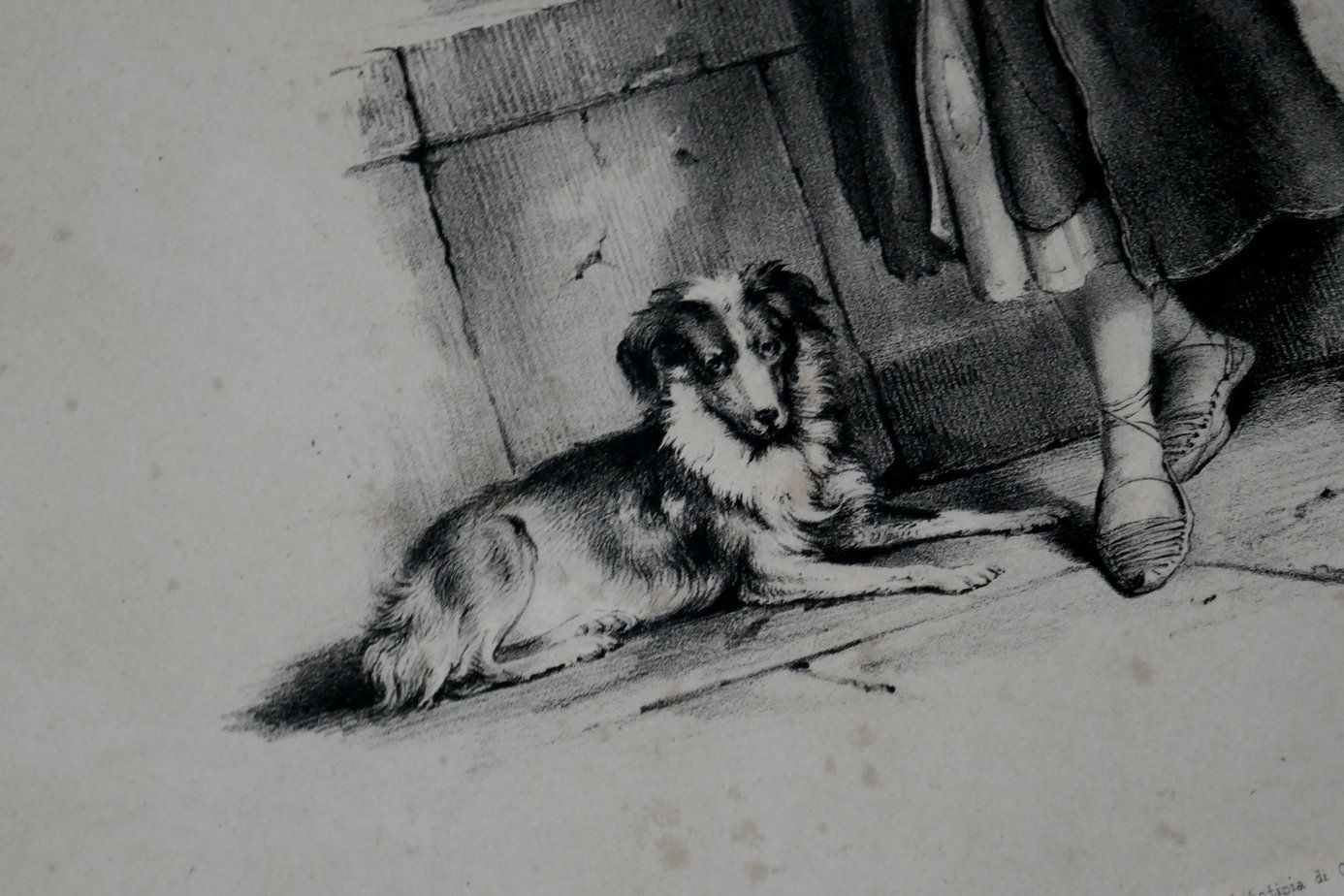 Ciccia Tischbein Lithography Portrait Castelnovo Pinguente 1842 photo 102.0