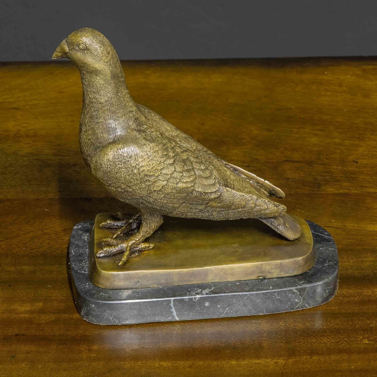 Bronze Racing Pigeon photo vinterior
