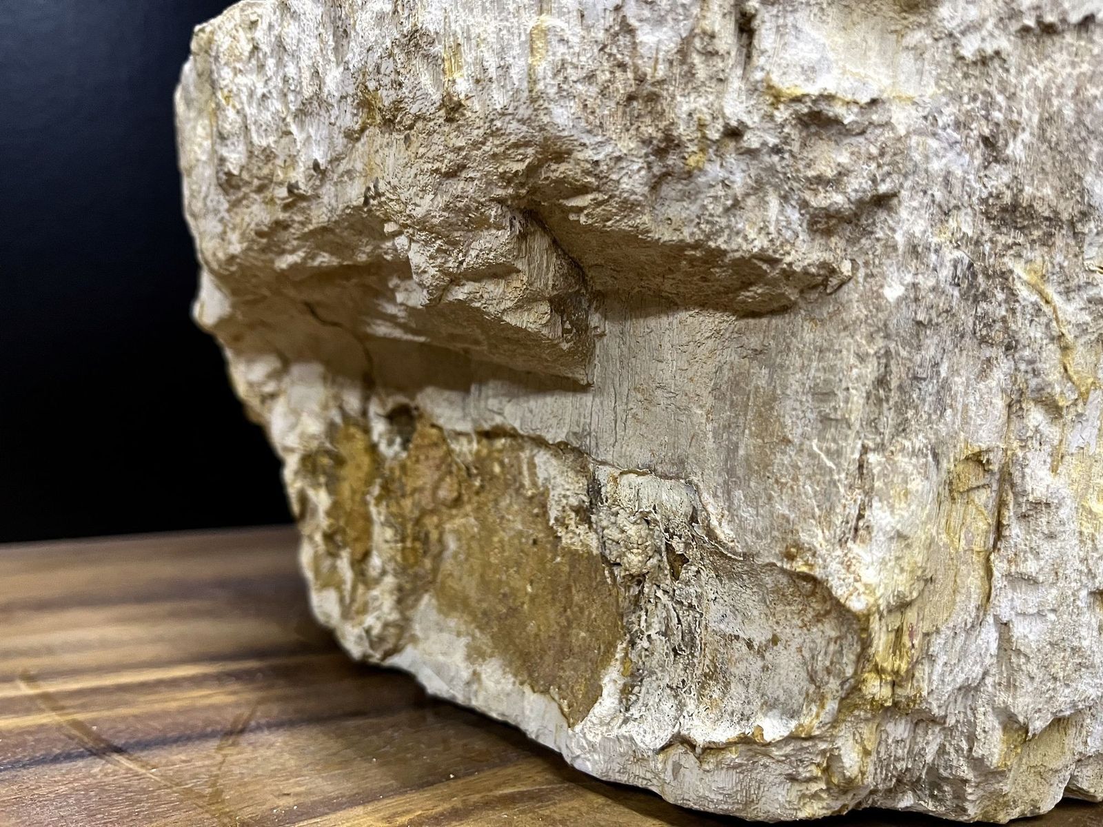 Home Decor Petrified Wood Sink In Beige/ Brown/ Grey Tones  Organic Modern, Top Quality photo