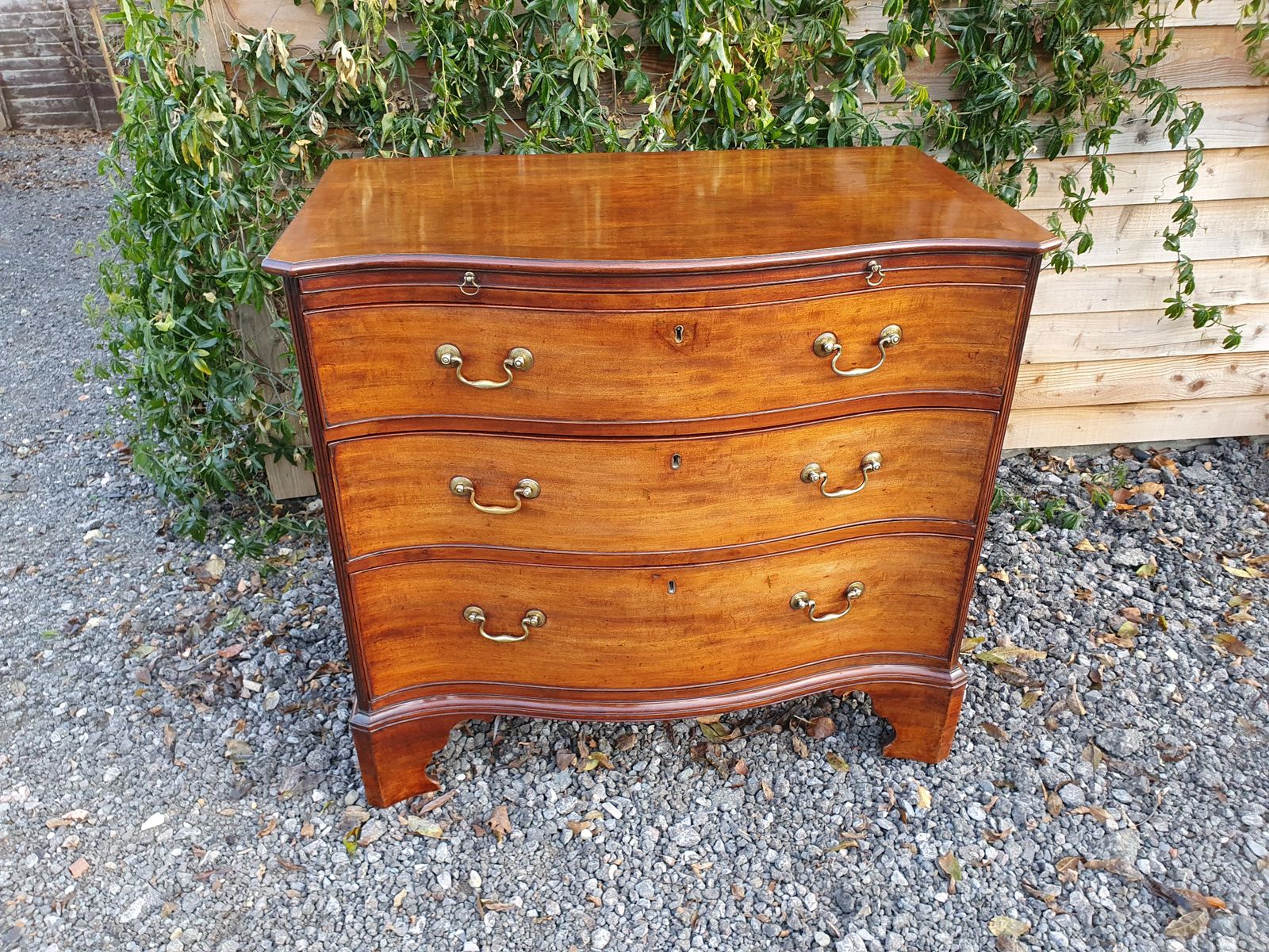 Georgian Mahogany Serpentine Chest. Good Quality C1770