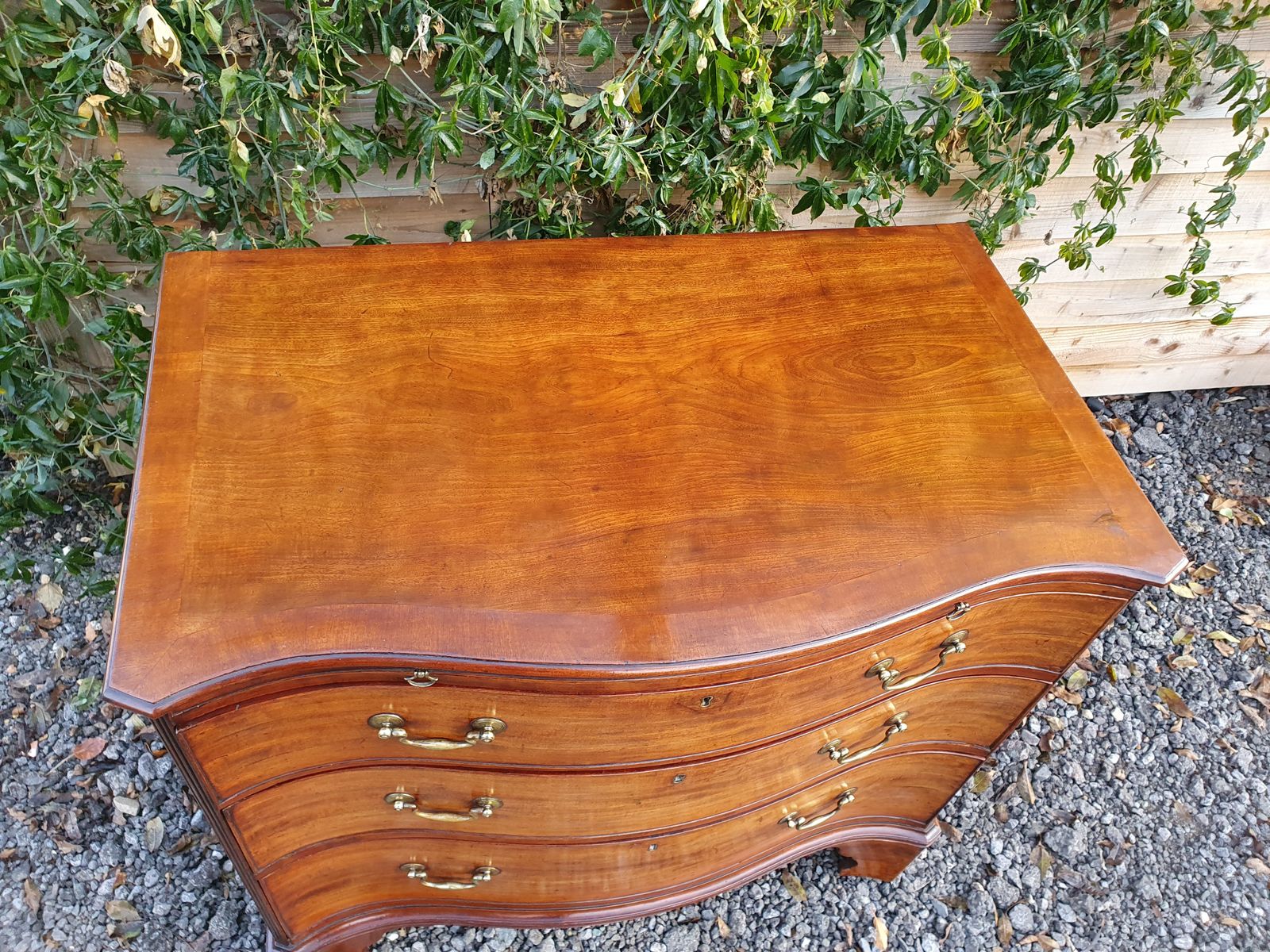 Georgian Mahogany Serpentine Chest. Good Quality C1770 photo for sale