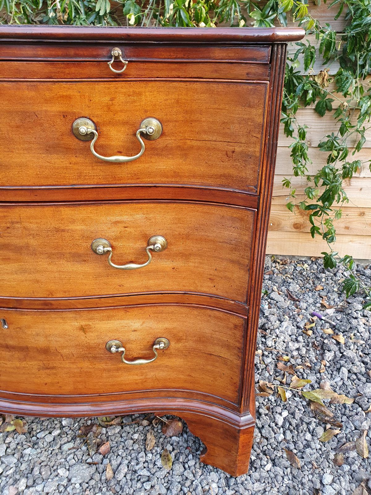 Georgian Mahogany Serpentine Chest. Good Quality C1770 photo Furniture