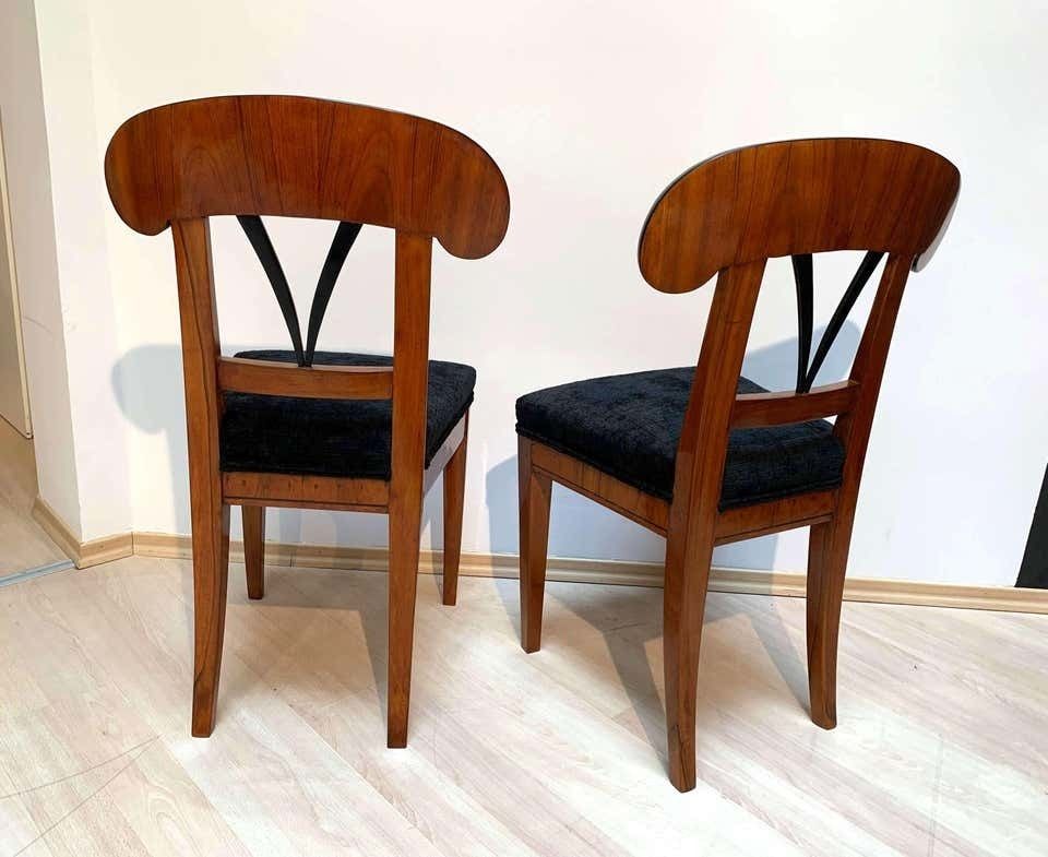 Pair Of Biedermeier Shovel Chairs Walnut, Ink Painting South Germany Ca. 1830 photo vintage