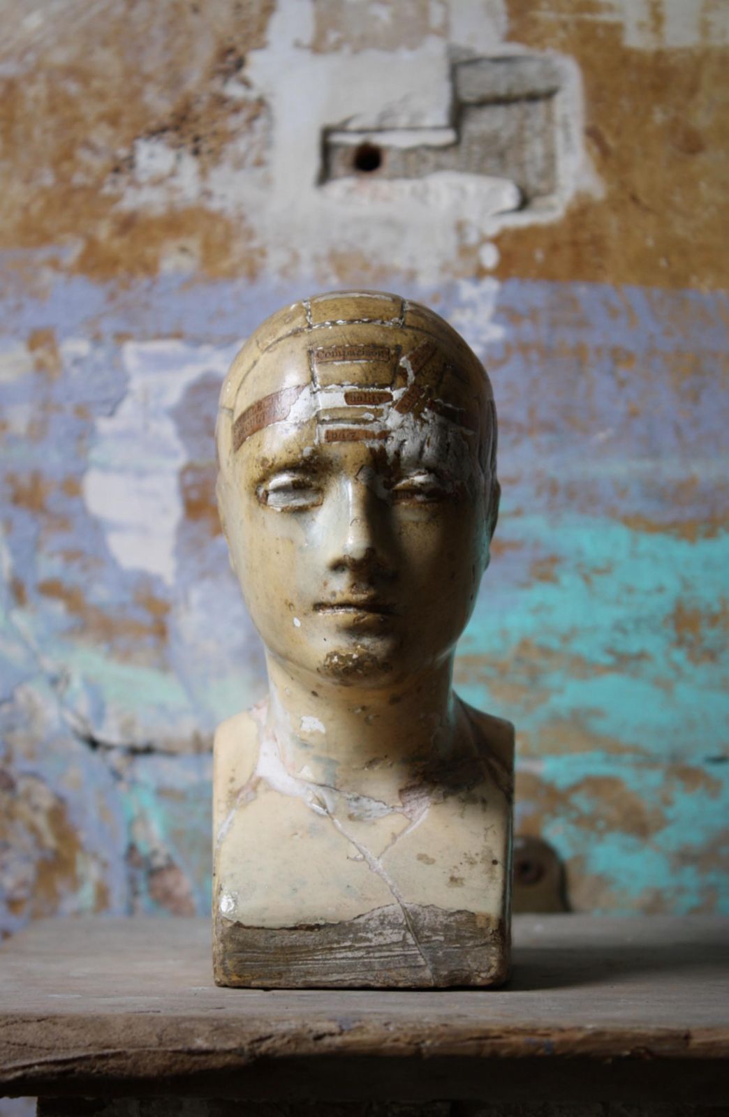 19th Century Plaster Phrenology Bust By Vago Of London, 1869 photo 995.0