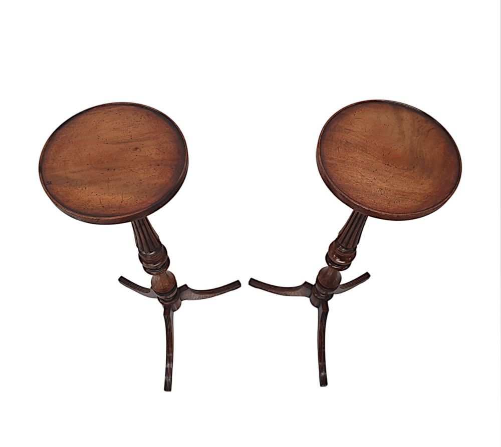 A Gorgeous Pair Of 20th Century Plant Stands photo furniture