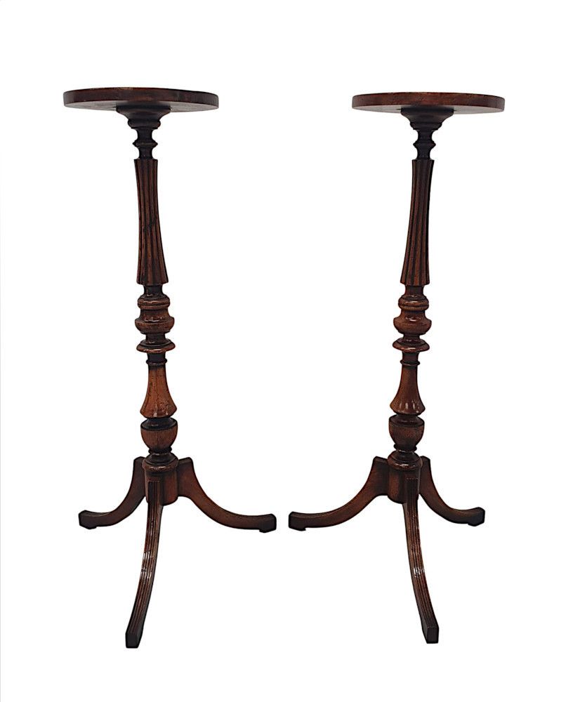 A Gorgeous Pair Of 20th Century Plant Stands photo for sale