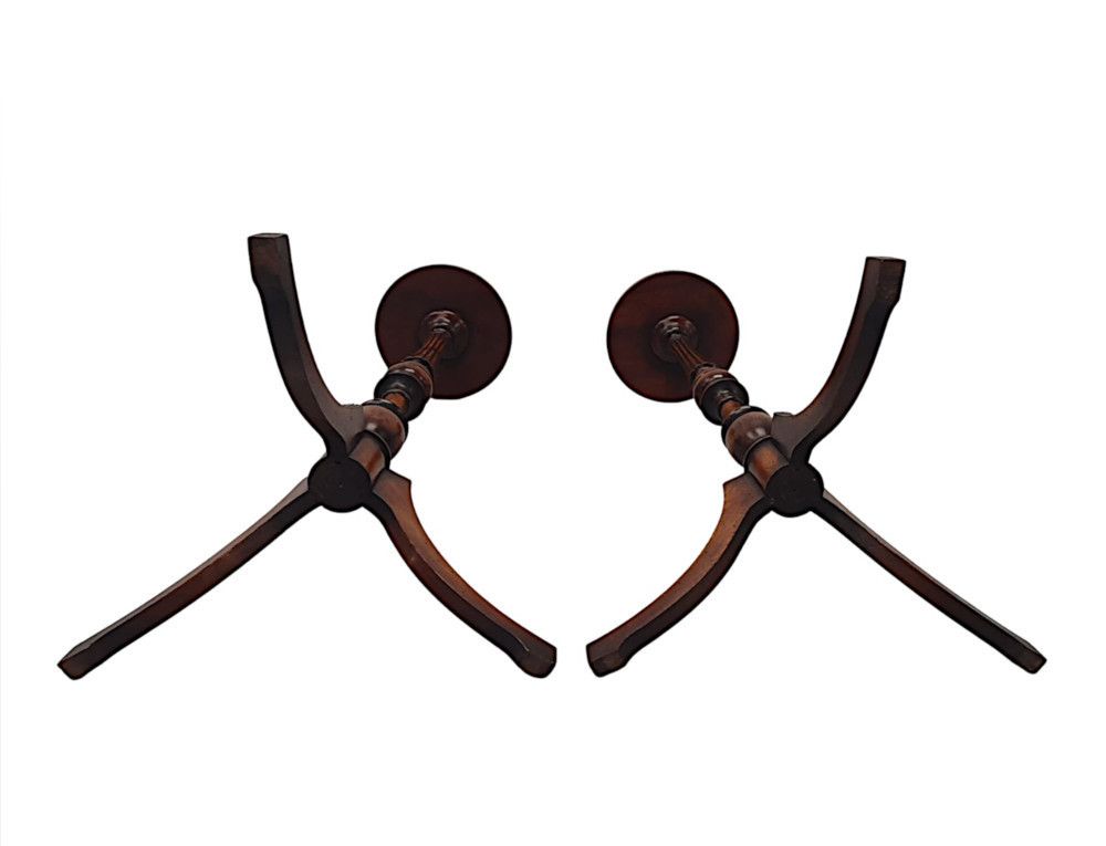 A Gorgeous Pair Of 20th Century Plant Stands photo vinterior