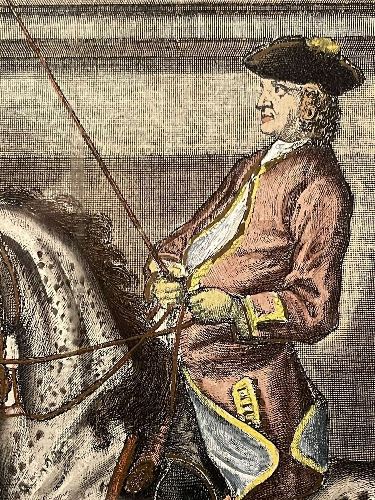 Johann Elias Ridinger (1698 1767) Hand Coloured Engraving 1734 photo for sale