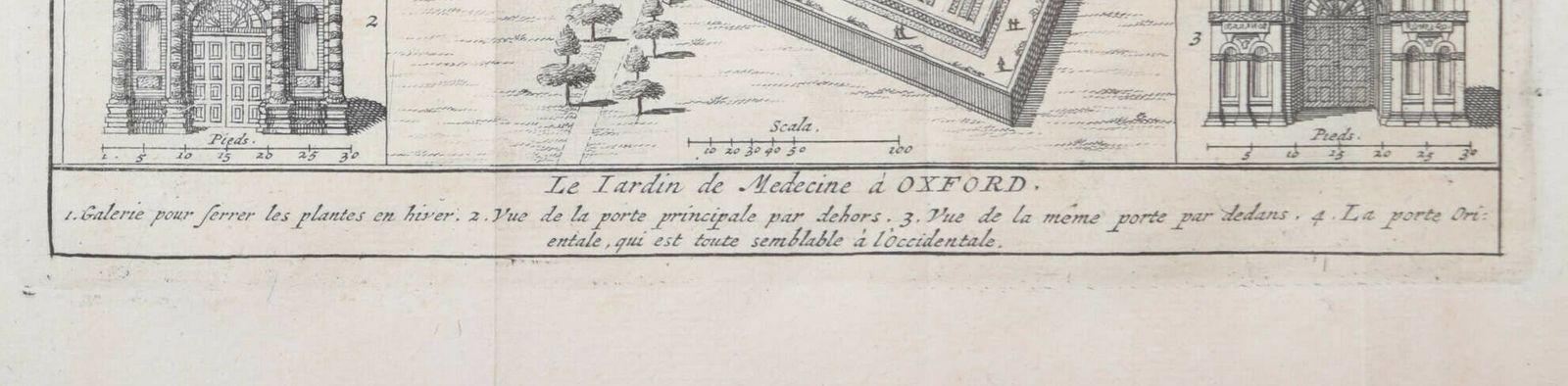 Pieter Van Der Aa (1659 1733), After David Loggan (1634–1692) The University Of Oxford Botanic Garden (1727) photo furniture