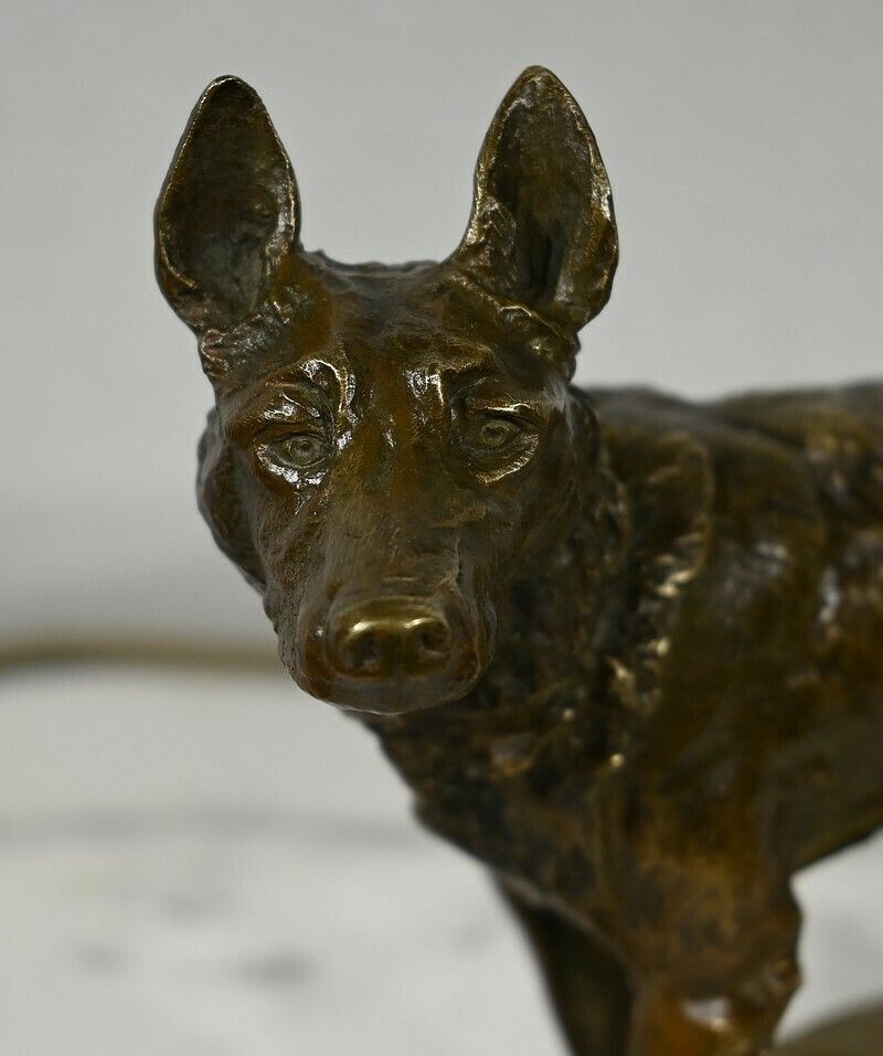 Bronze “The German Shepherd”, After Pa. Laplanche – Early 20th Century photo vintage