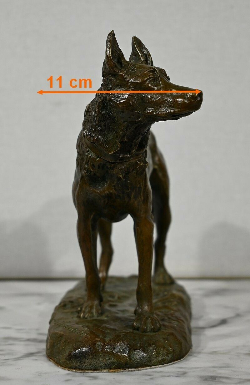 photo buy Bronze “The German Shepherd”, After Pa. Laplanche – Early 20th Century